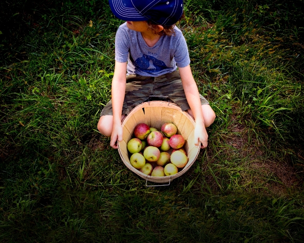 Encouraging  Food as  Medicine